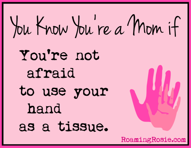 Momism #9:  Snot Receptacles