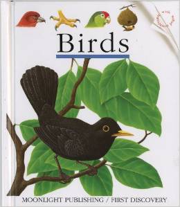 Birds First Discovery Book