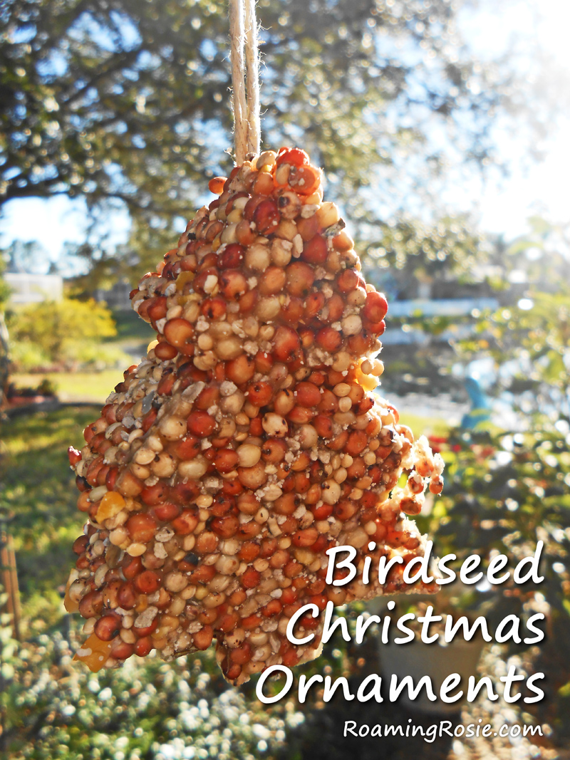 Birdseed Christmas Ornaments 1