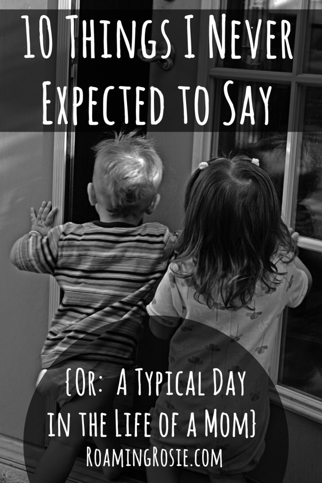 10 Things I Never Expected to Say OR A Typical Day in the Life of a Mom from RoamingRosie.com