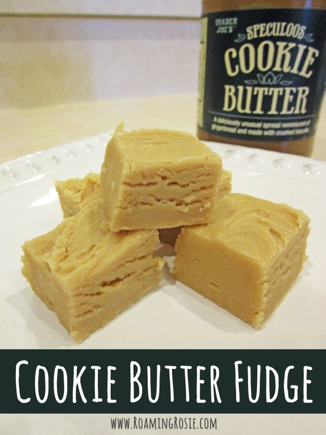 Cookie Butter Fudge Recipe from Roaming Rosie