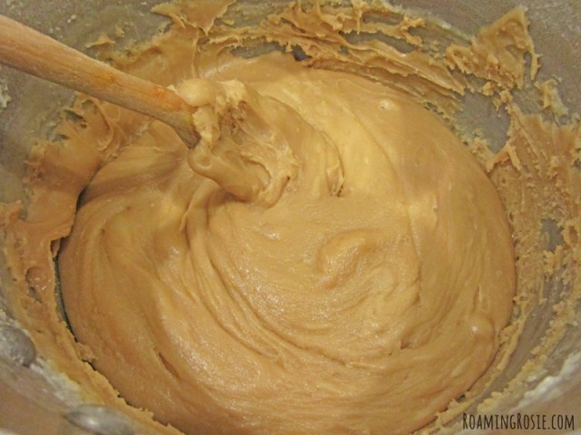 Cookie Butter Fudge 9